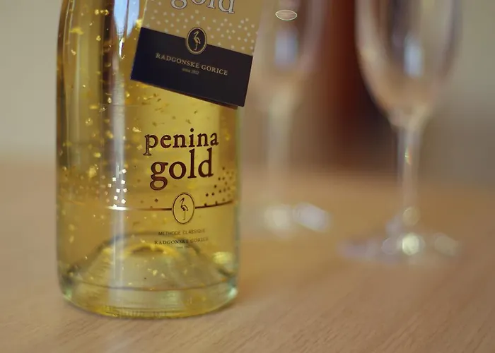 Anna アパート ラデンツィ